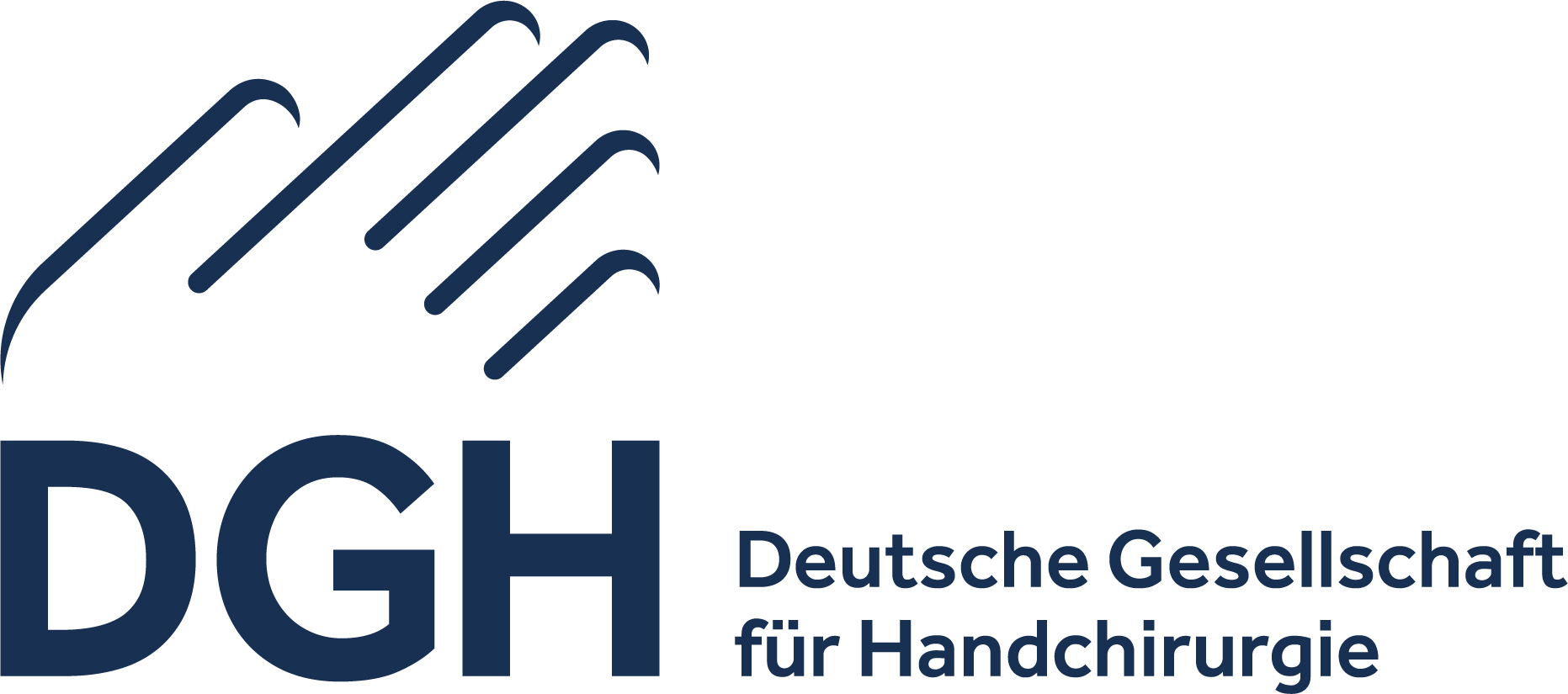 Logo: 65. Kongress der Deutschen Gesellschaft für Handchirurgie