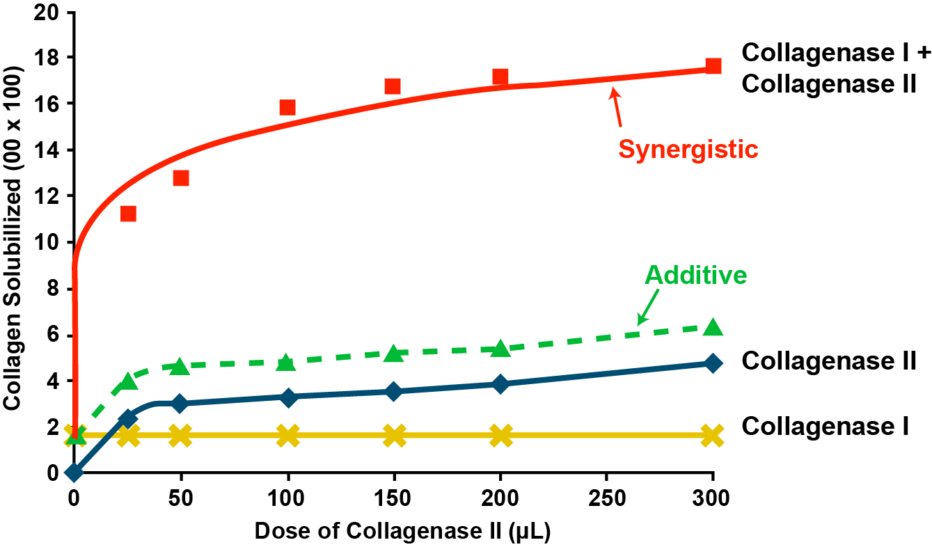 Figure 4: Synergistic activity of collagenase I and collagenase II