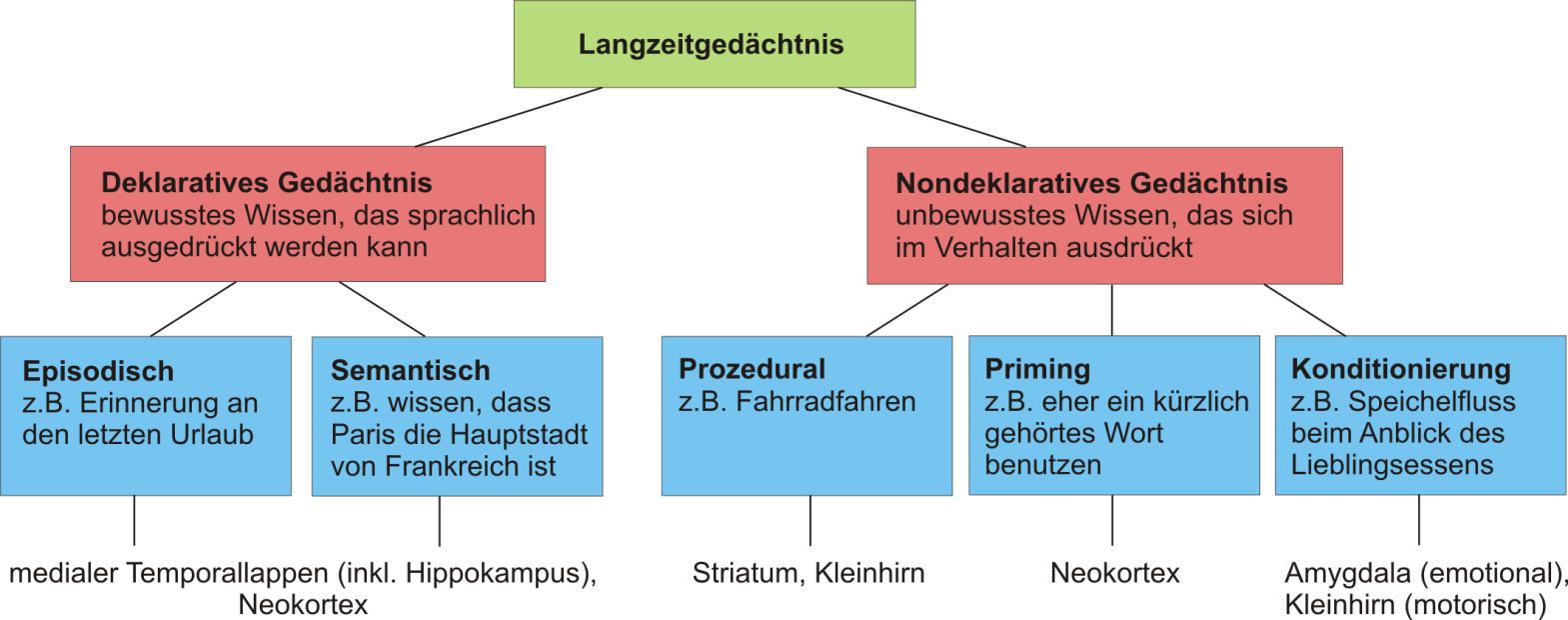 Abbildung 3: Inhaltliche Einteilung des Langzeitgedächtnisses (eigene Darstellung, modifiziert nach [1])