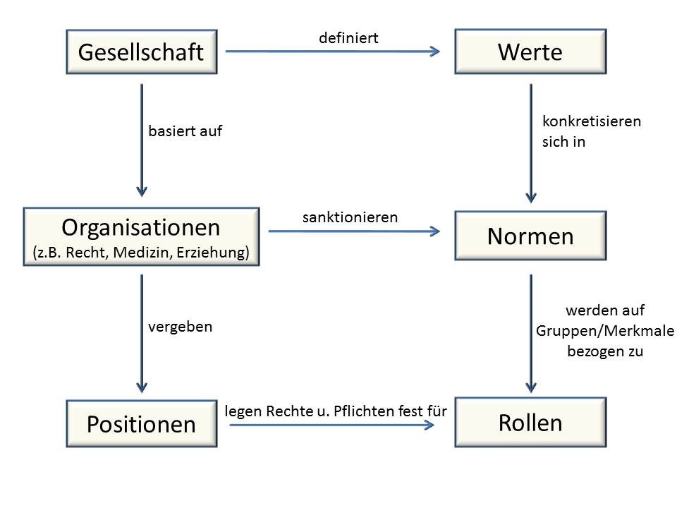 Abbildung 1: Zusammenhänge zwischen Werten, Normen, Rollen und Positionen