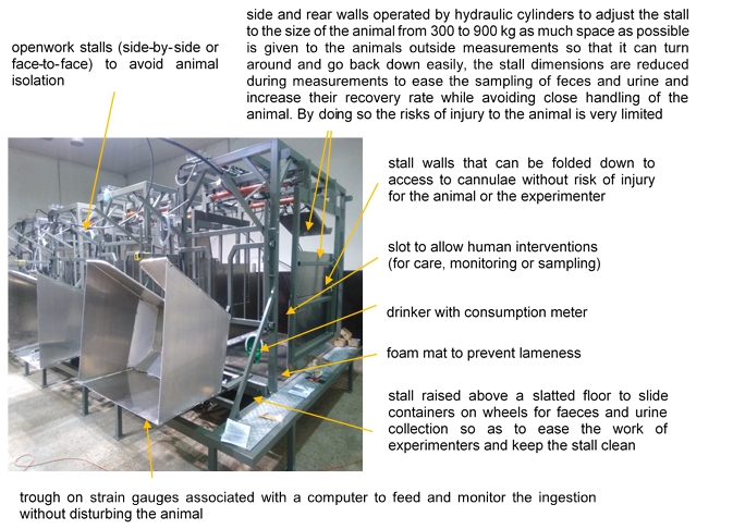 Figure 3: Four-star stalls to measure digestibility. The access is facilitated by an inclined plane (photo by H. Tournadre).